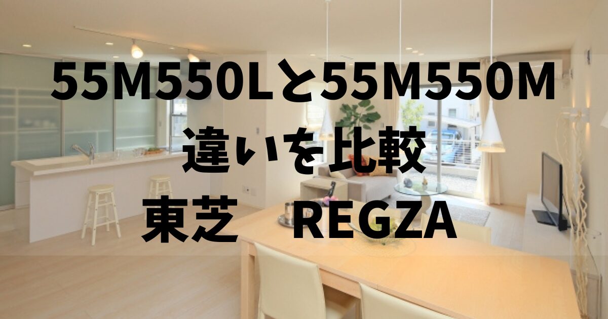REGZA 55M550M 短期間使用 引きしめ